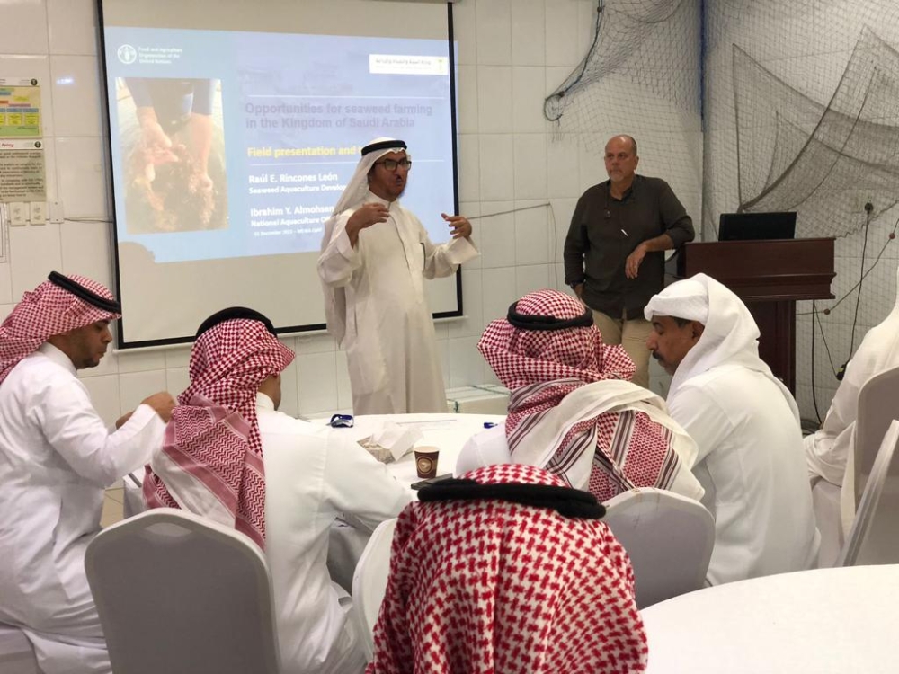 مبادرة لاستزراع الأعشاب البحرية على شواطئ المملكة