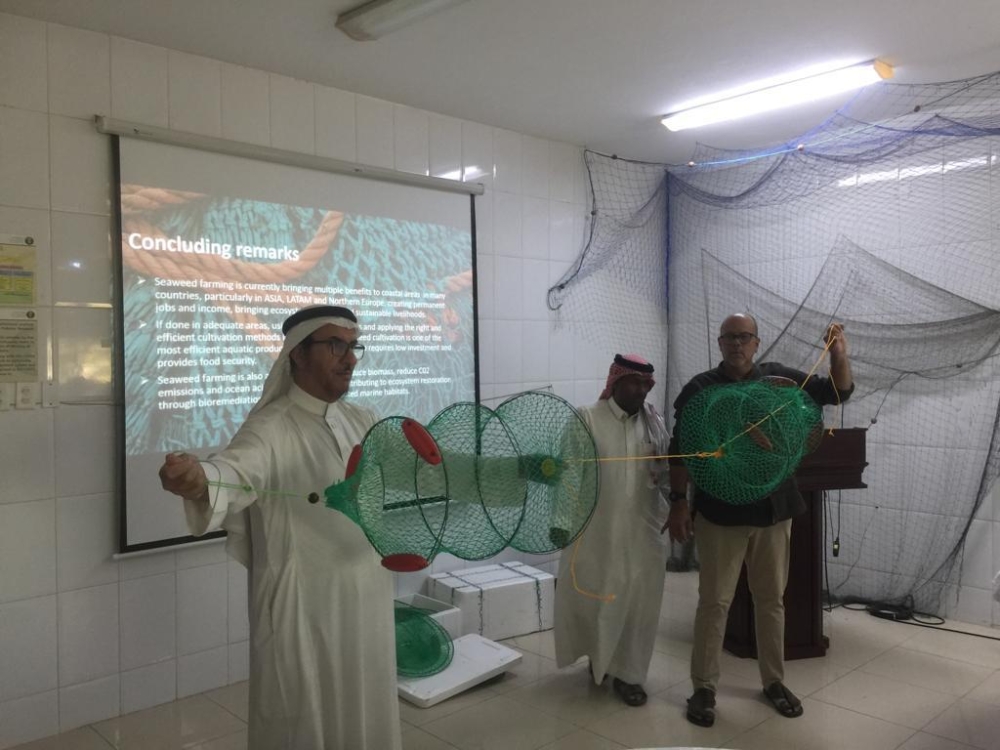 مبادرة لاستزراع الأعشاب البحرية على شواطئ المملكة - اليوم
