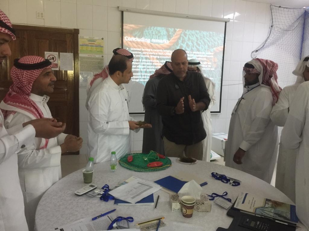 مبادرة لاستزراع الأعشاب البحرية على شواطئ المملكة - اليوم
