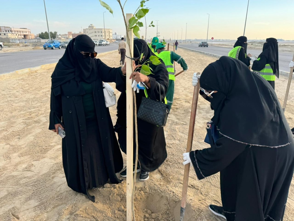 زراعة 1000 شجرة في مبادرة تطوعية بالخفجي - اليوم