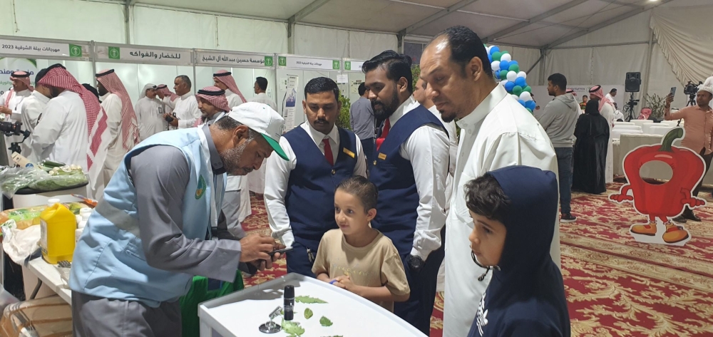 الجرجير الأعلى إنتاجًا.. المنتجات الورقية 
