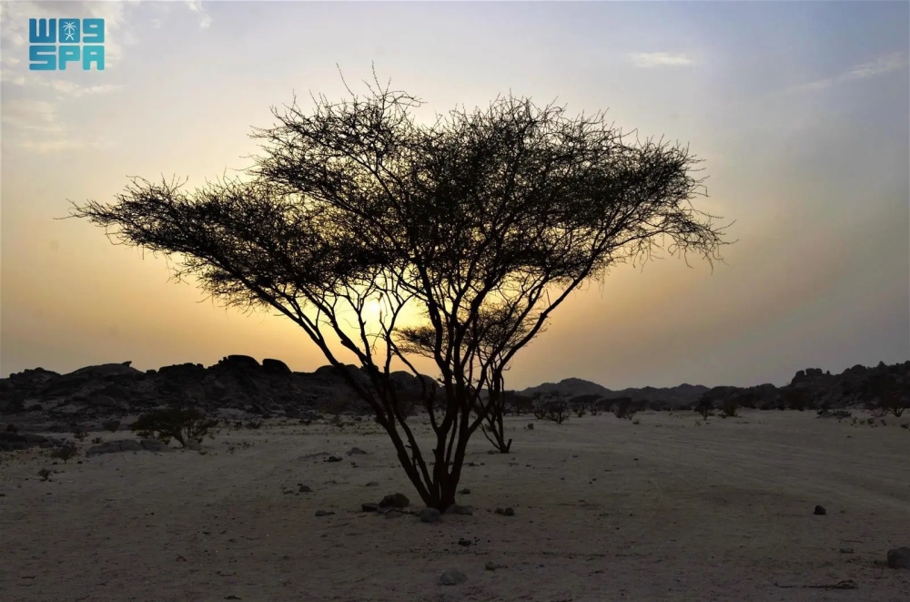 'جبل القمر'.. وجهة محبي الهدوء وهواة المغامرات في خليص
