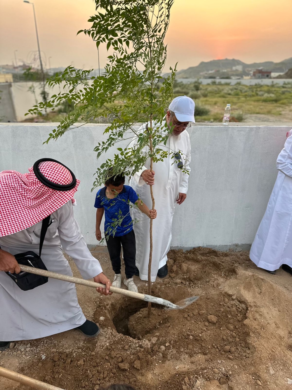 مبادرة تشجير