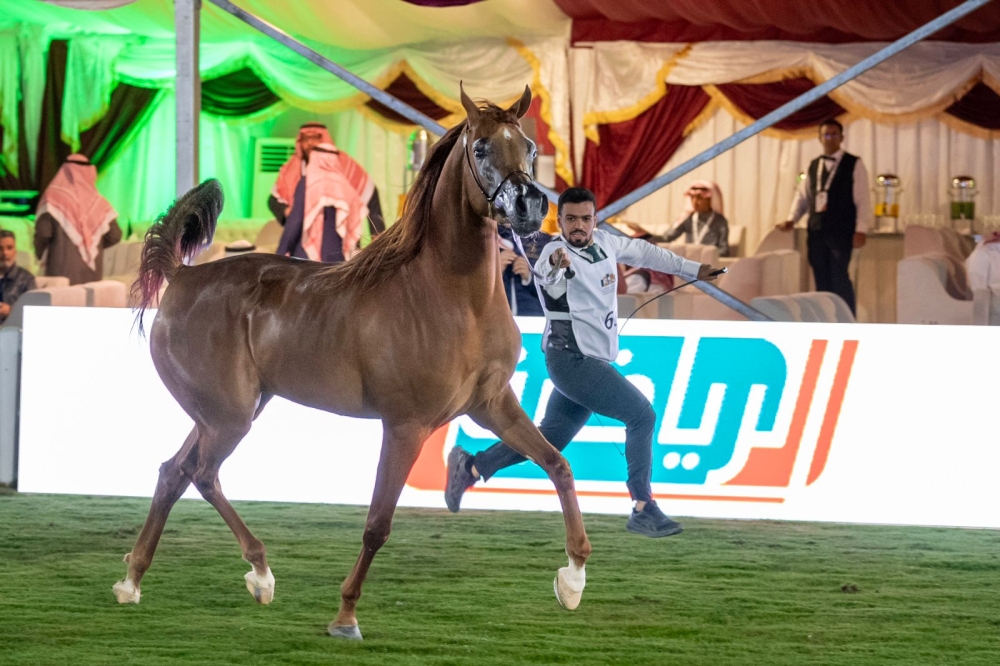 أمير الرياض يحضر غداً ختام العرض الدولي لجمال الخيل العربية الأصيلة