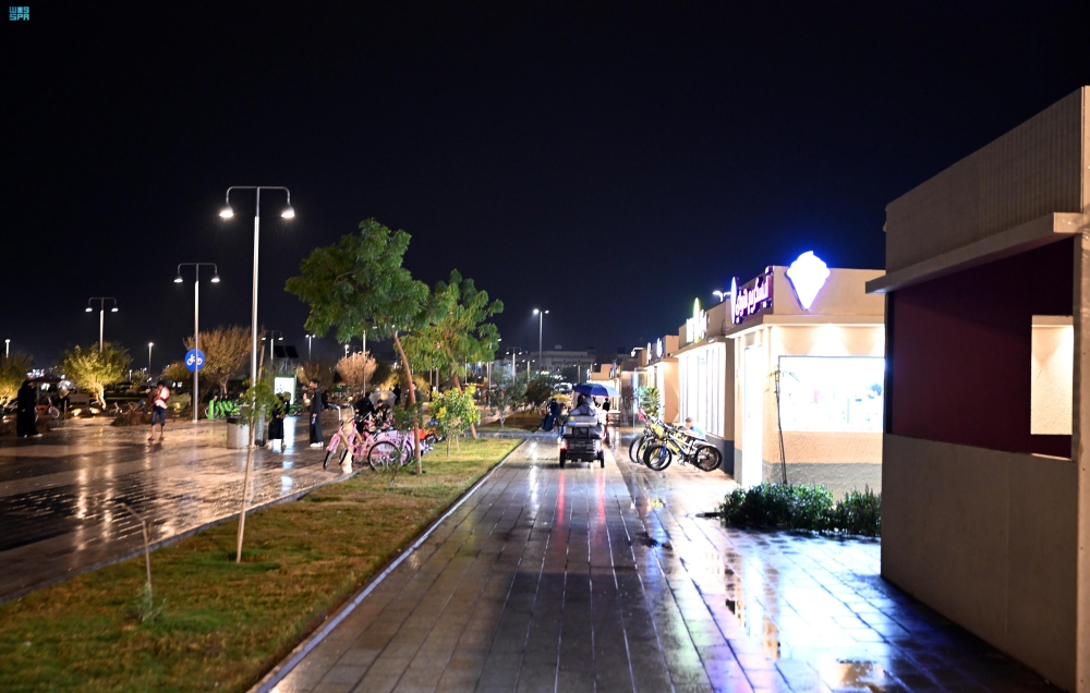 شاهد| 