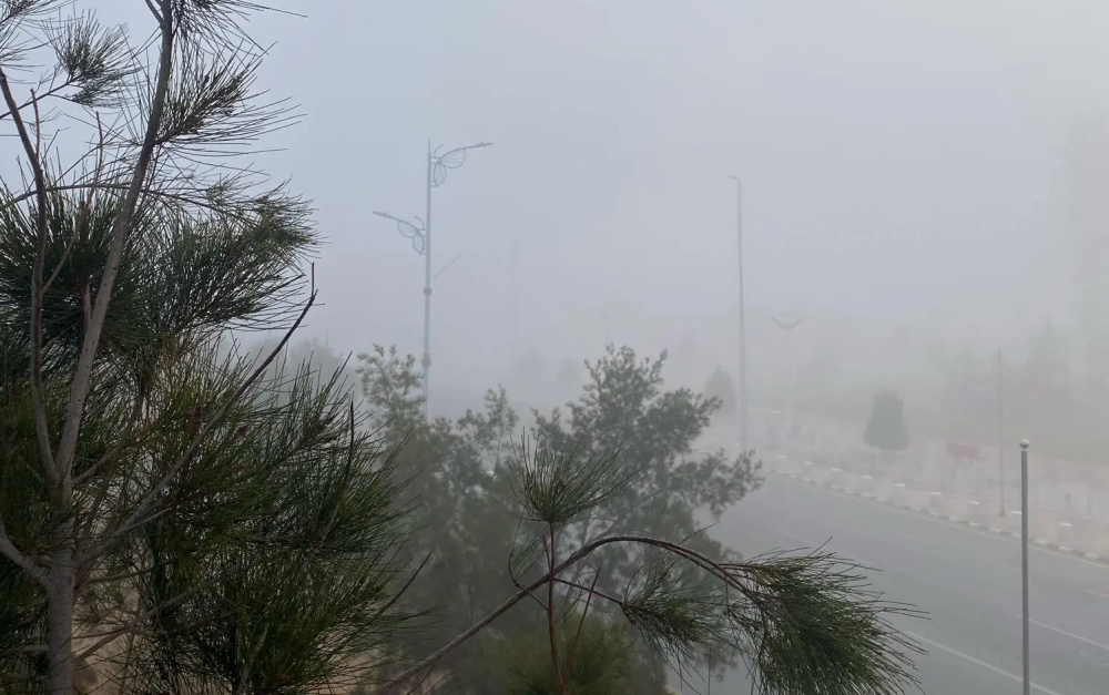 بالصور.. الضباب يغطي أجواء محافظة طريف