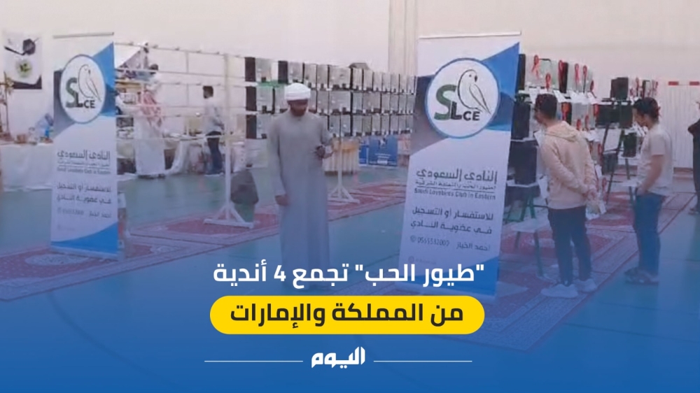 فيديو.. 