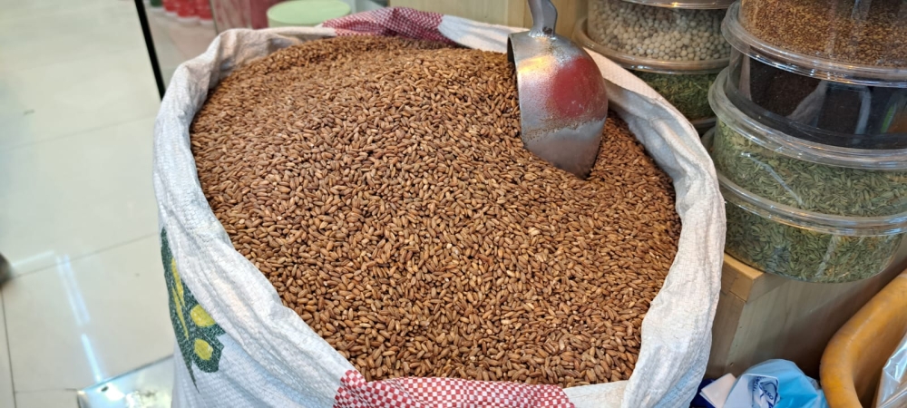 الأرز الحساوي بلونه الأحمر المعروف