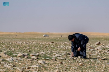 رحلة جمع الفقع قد تجعل الباحثين يتخدوا حرم الحدود - واس