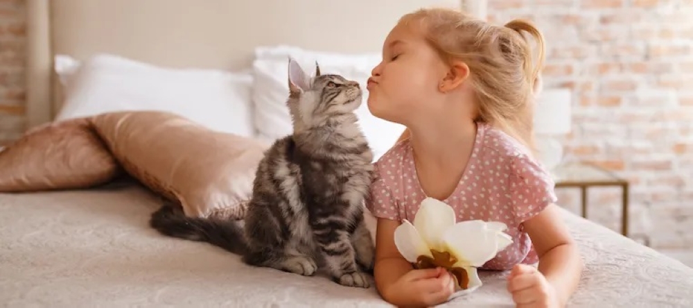 تربية القطط تتطلب من أصحابها تحمل المسؤولية - litter robot