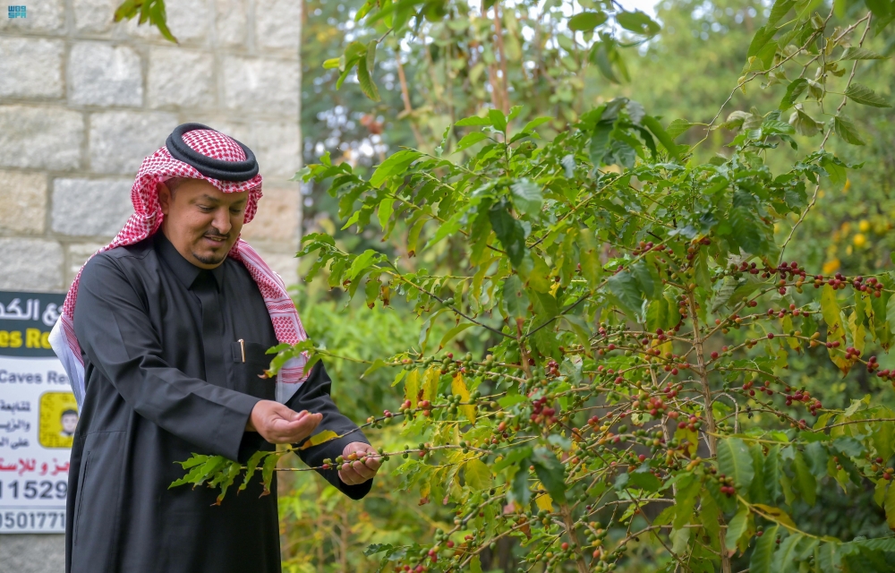 السياحة الريفية في الباحة - واس