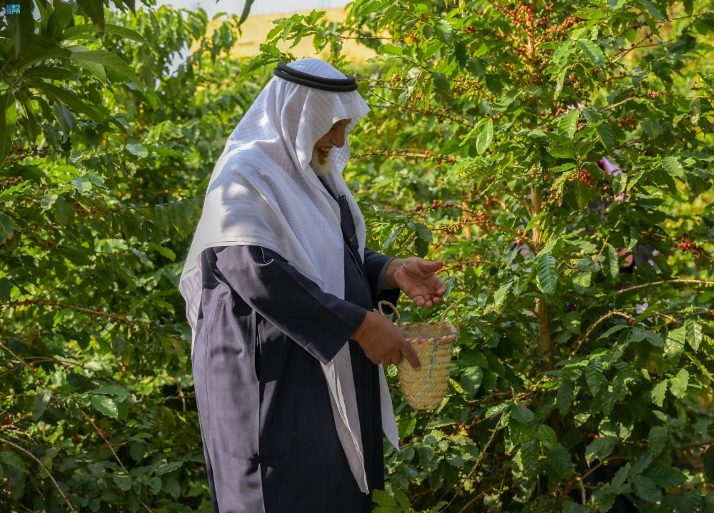 السياحة الريفية في الباحة - واس