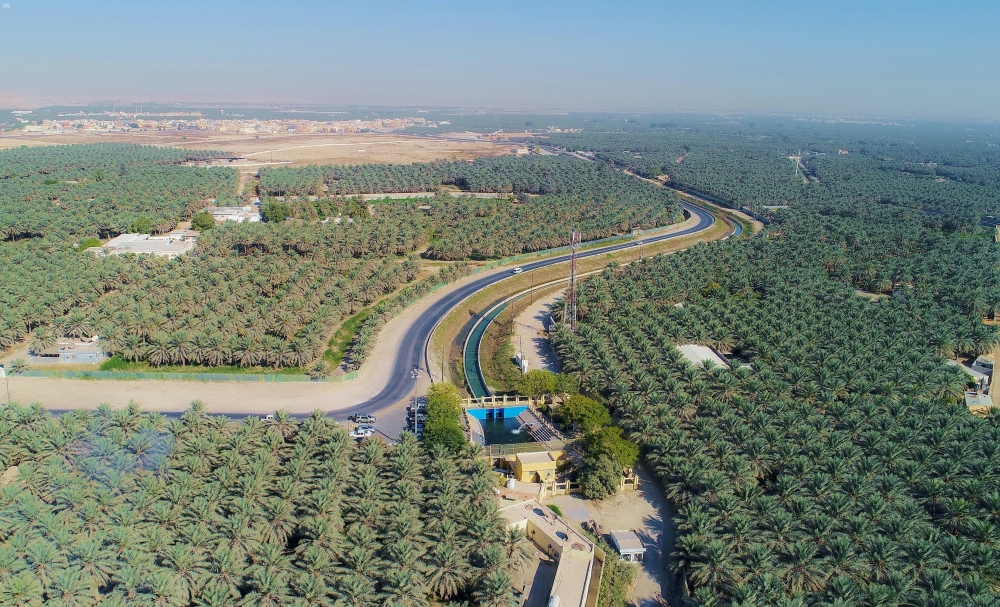 واحات الأحساء الطبيعية، التي تزيد مساحتها عن 85 كيلومترًا مربعًا، تفصح عن تحف جغرافية- واس