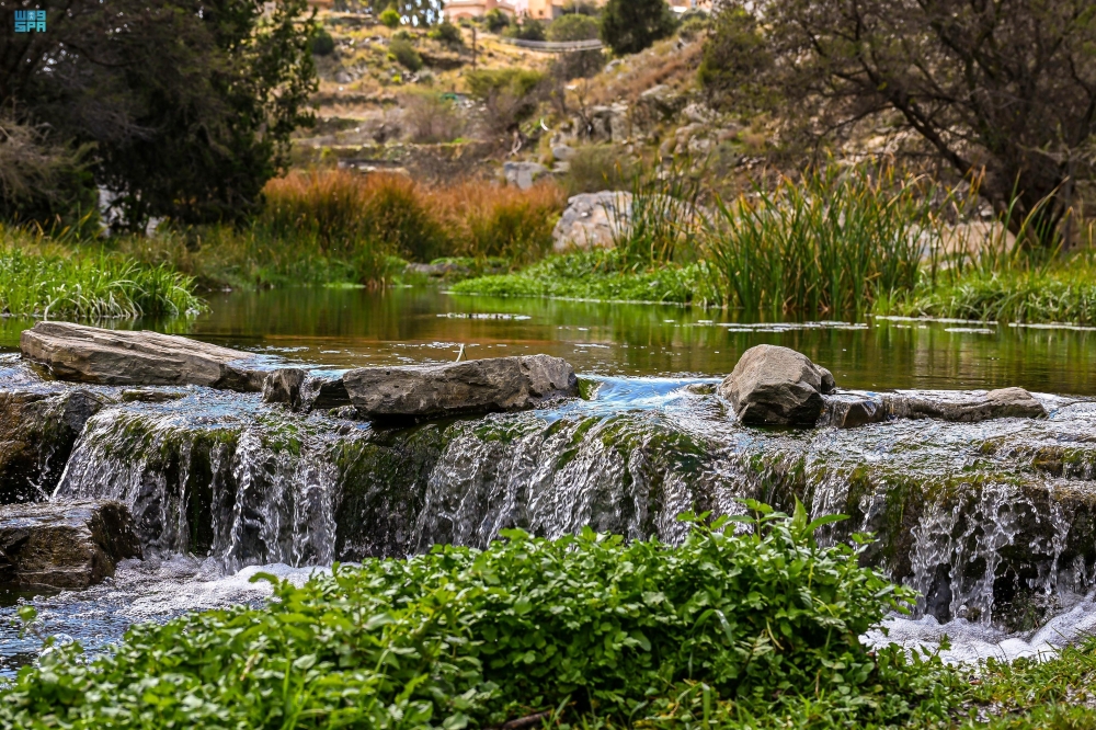 شاهد | وادي الحمدة.. الطبيعة الخلابة تجذب السياح والزوار