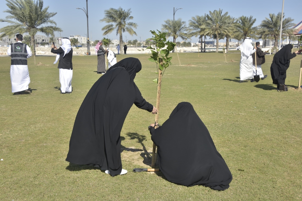 فيديو| 