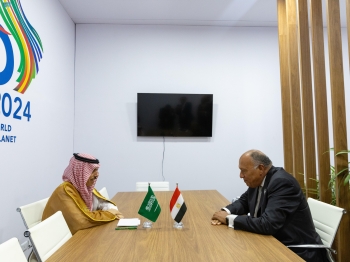 وزير الخارجية يبحث التطورات في غزة مع نظيره المصري