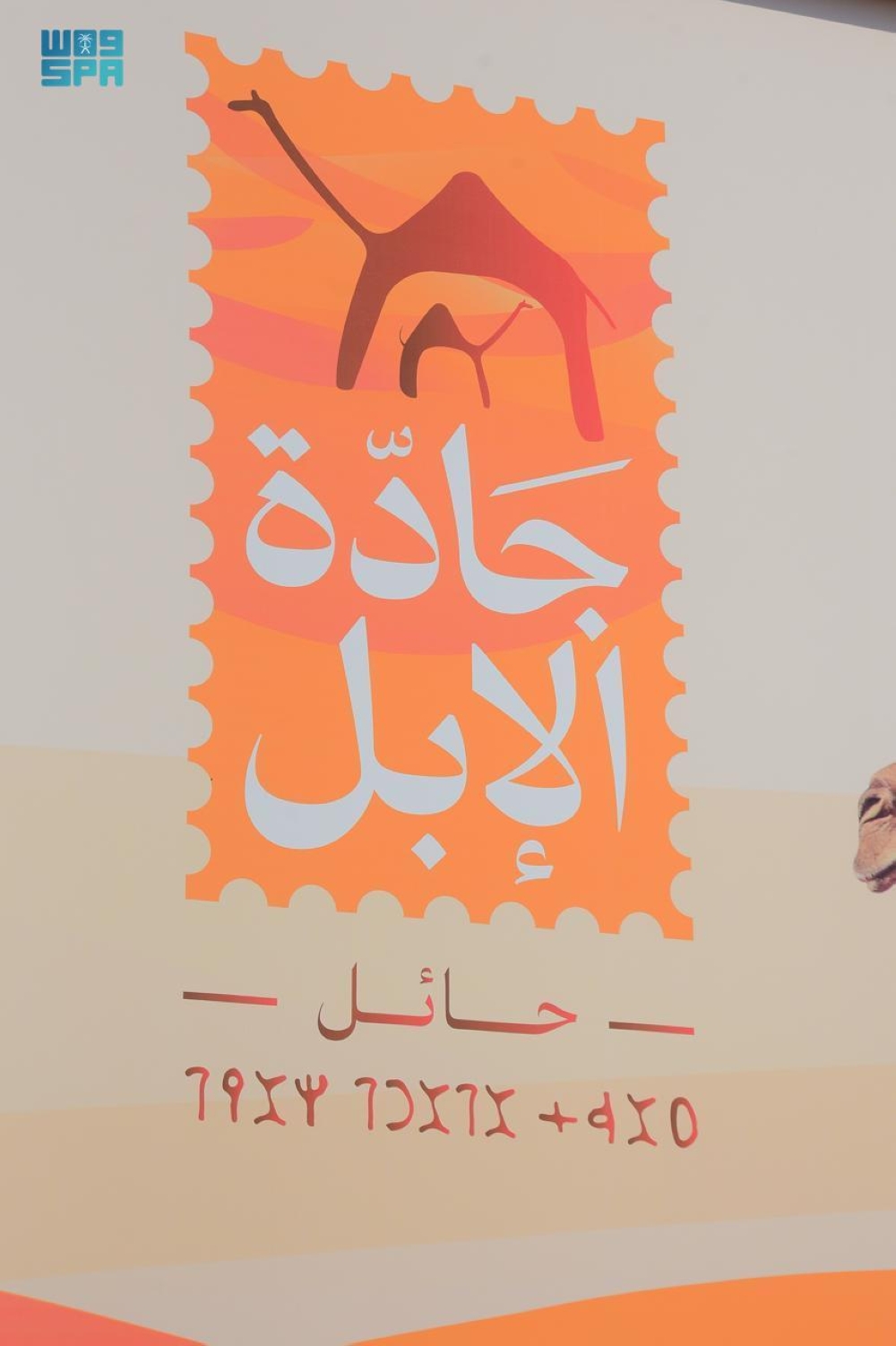  مهرجان 
