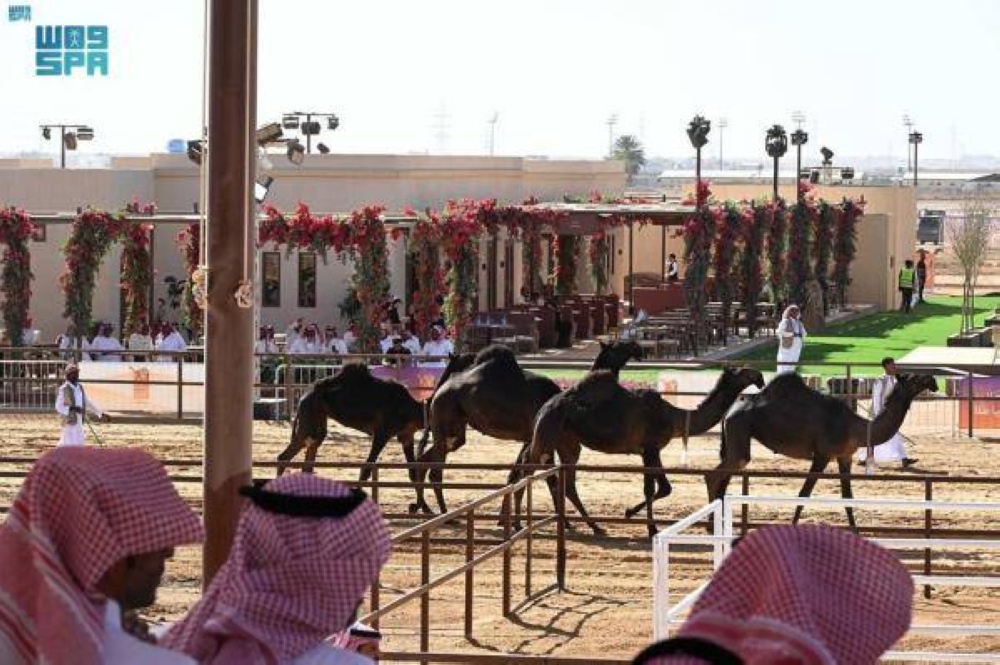 فعاليات سابقة لمهرجان جادة الإبل - واس