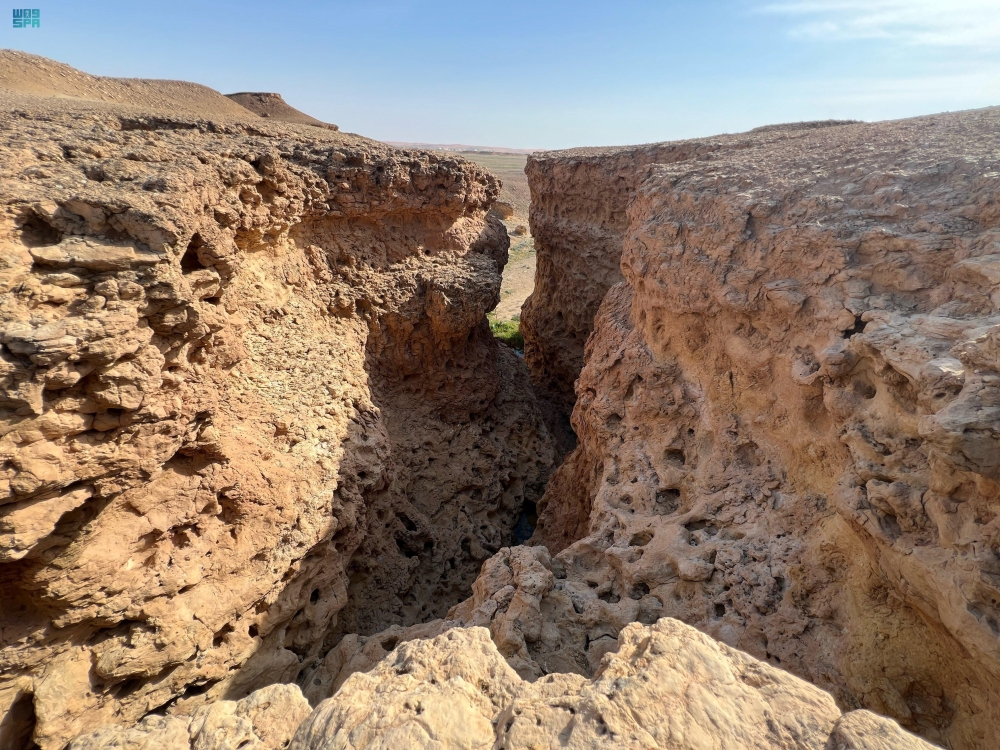 عين الذيابة - واس