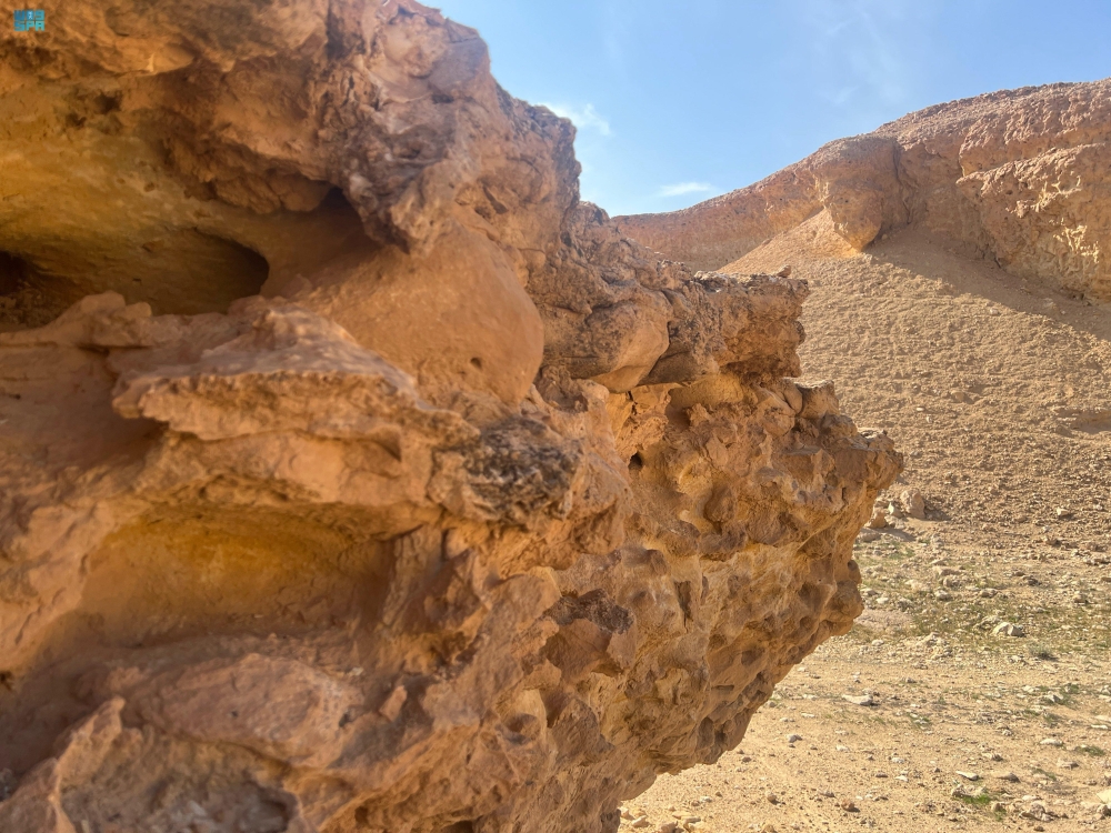 عين الذيابة - واس