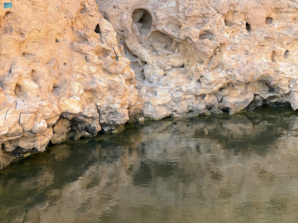 عين الذيابة - واس