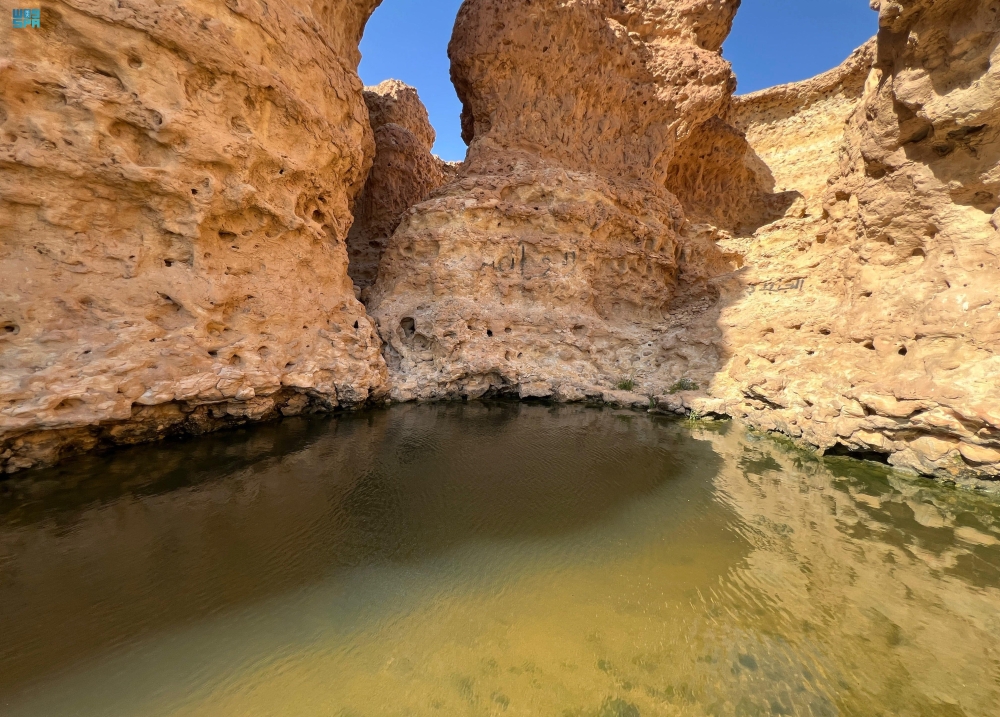 عين الذيابة - واس