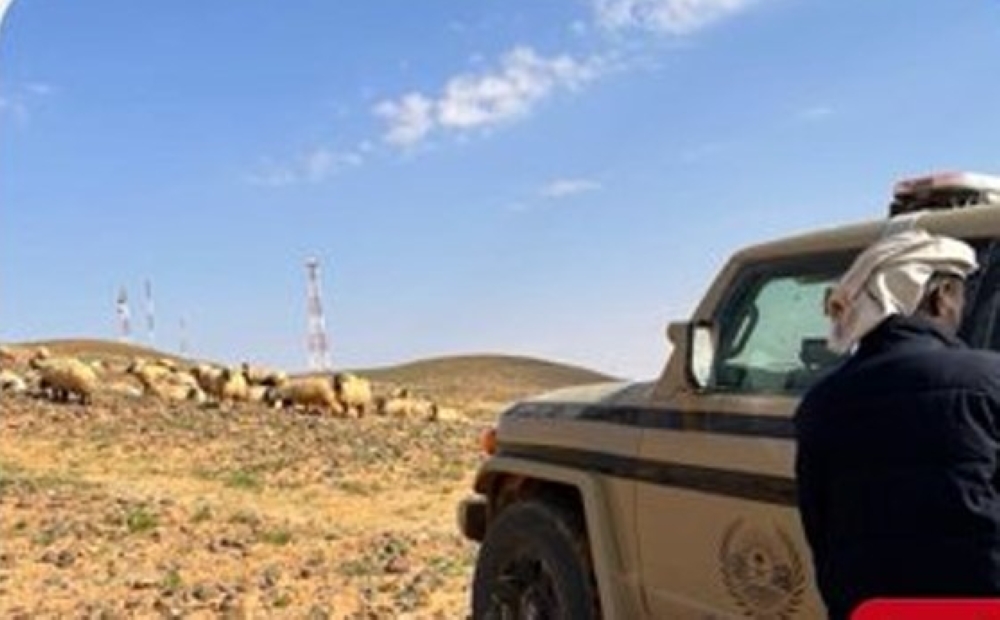 المدينة المنورة.. القبض على مخالفين لصيدهما دون ترخيص