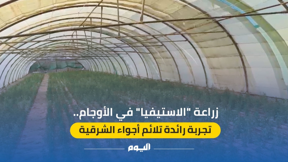 زراعة ”الاستيفيا“ في الأوجام.. تجربة رائدة تلائم أجواء الشرقية