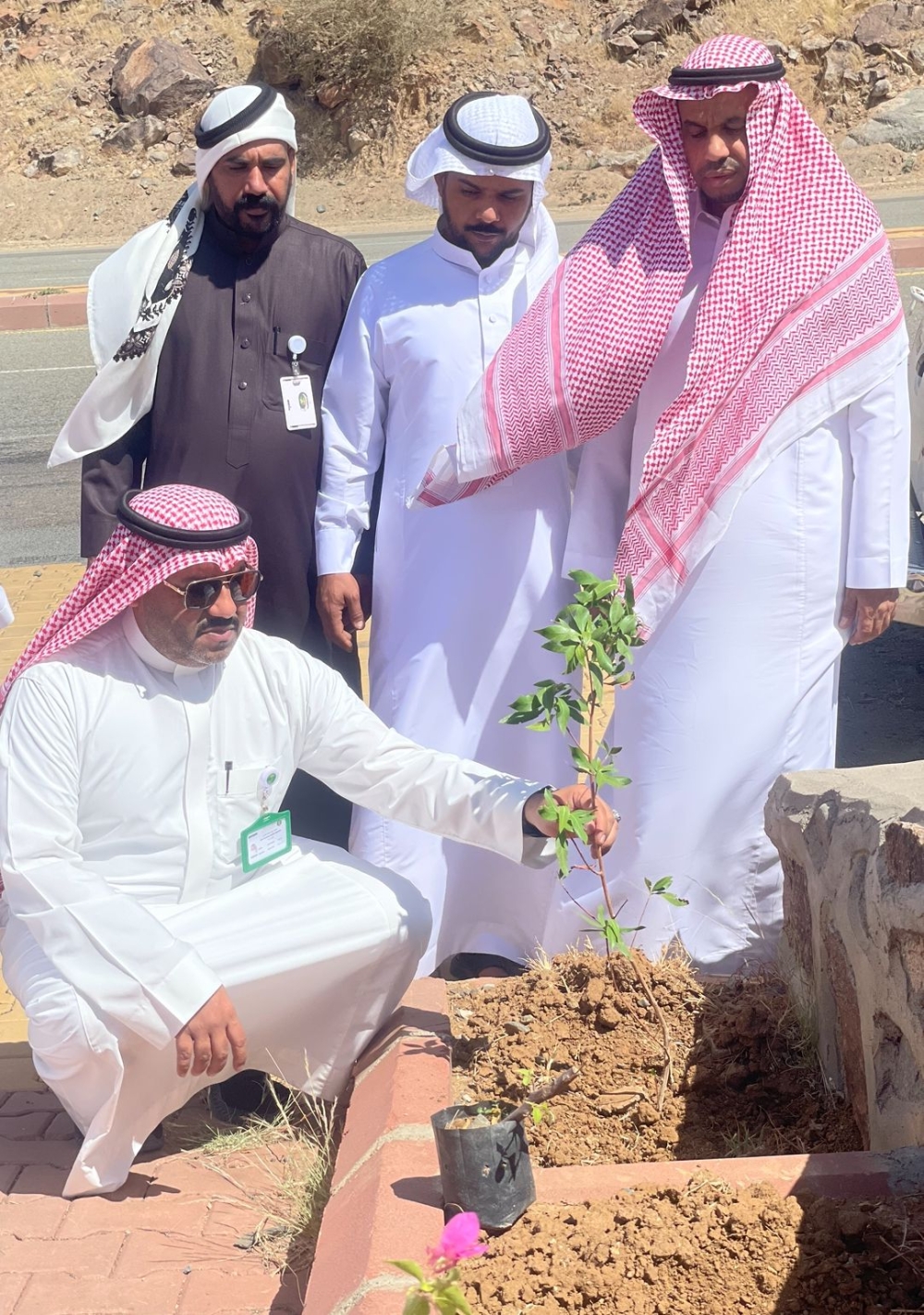  زراعة العديد من الأشجار والنباتات في الحديقة