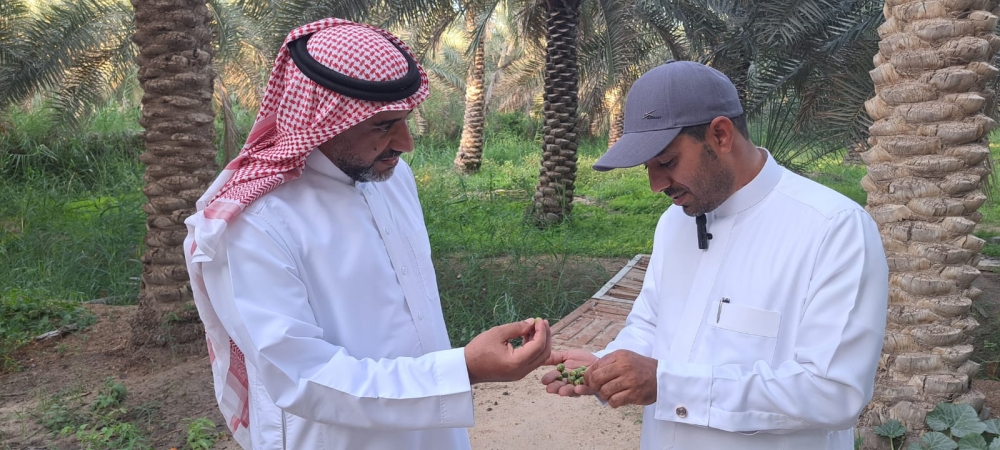 مختصون: التقلبات الجوية تهدد بإتلاف