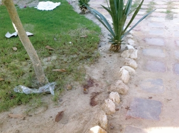 تنفيذ حكم القتل قصاصًا بـ