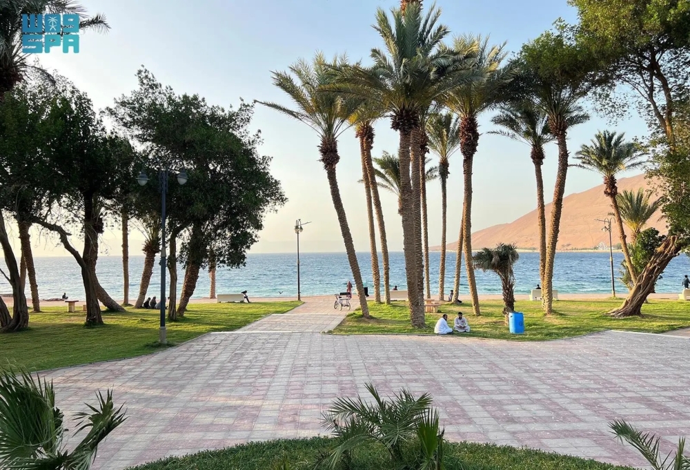 متنزه النخيل في حقل.. سحر الطبيعة بين النخيل والبحر - واس