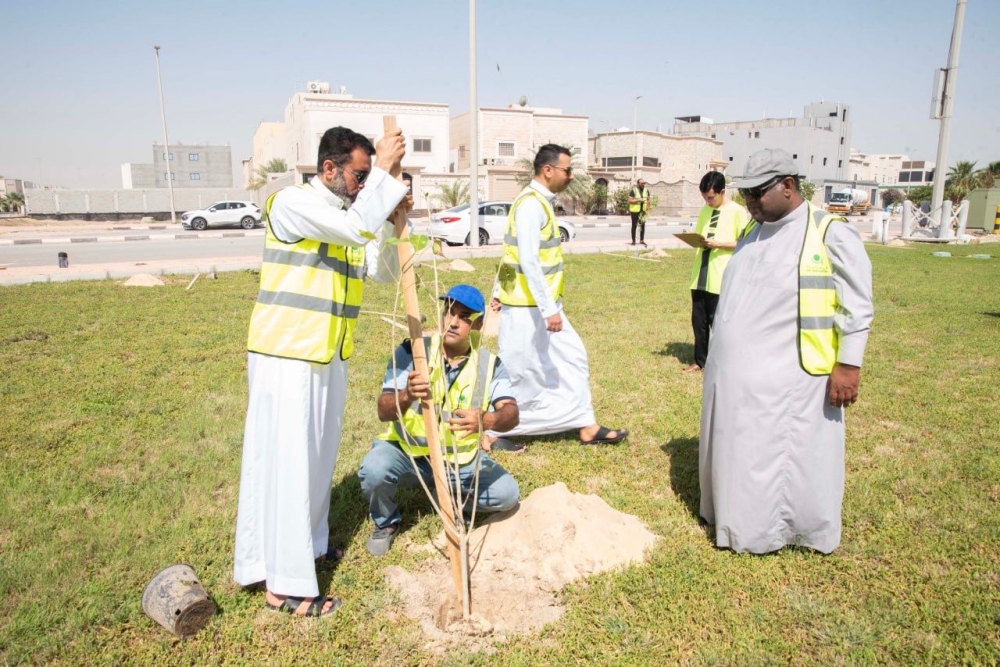مبادرة تطوعية لزراعة 183 شجرة بالجارودية - اليوم 