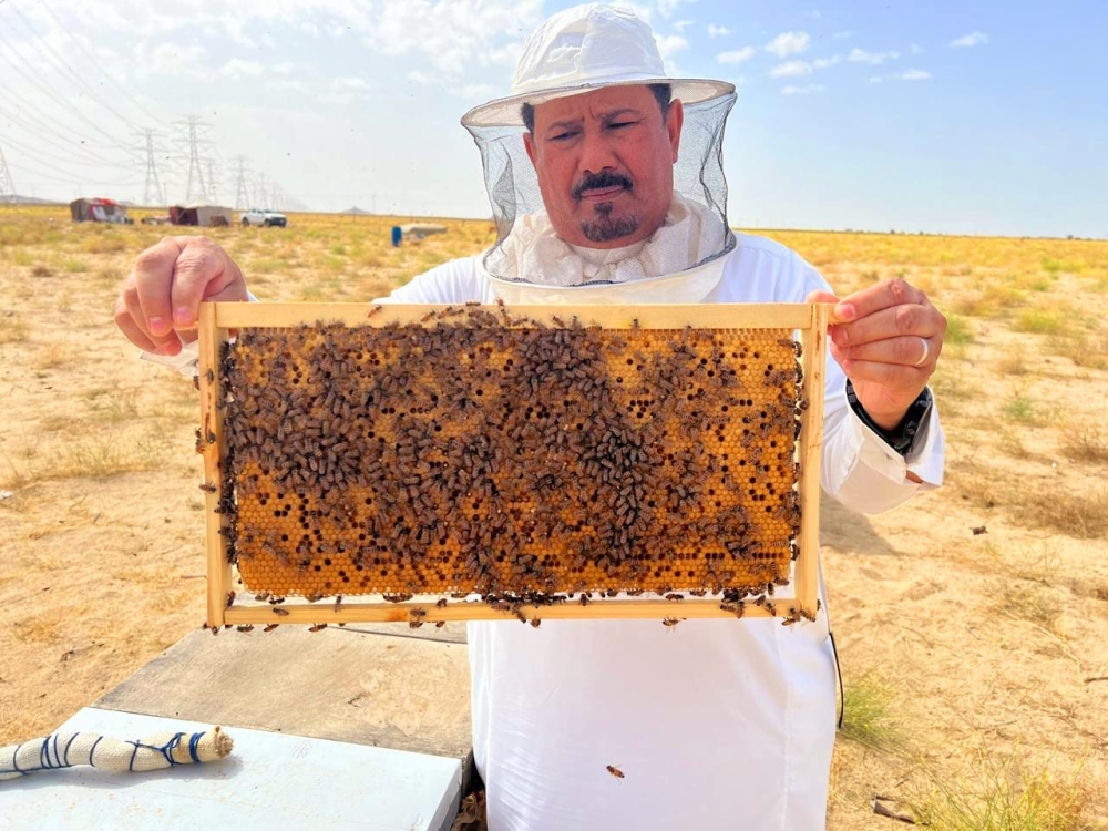المملكة تولي اهتماما كبيرا بالنحالين