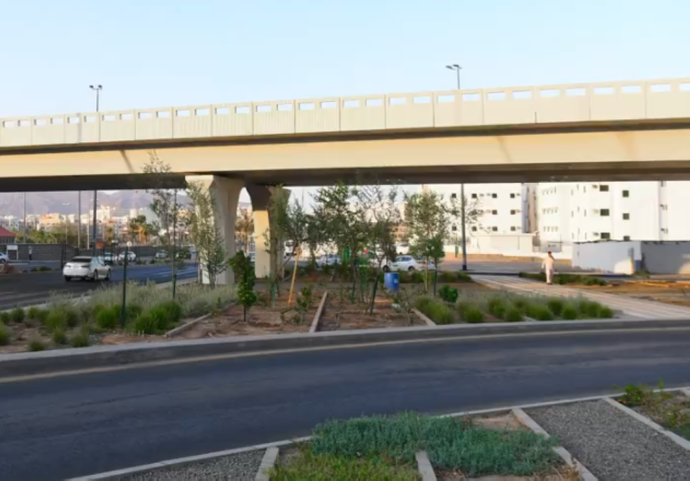 المدينة المنورة.. مواصلة صيانة الأنفاق وجسور المشاة