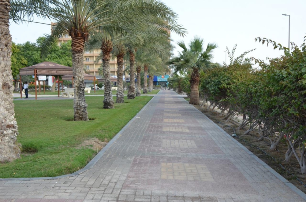 تهيئة الحدائق المسطحات الخضراء بالدمام - اليوم