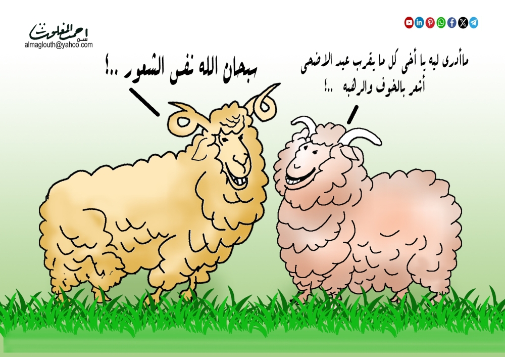 كاريكاتير احمد المغلوث