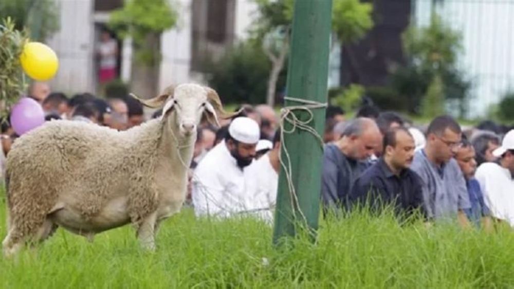 احتفالات عيد الأضحي في مصر - مشاع إبداعي