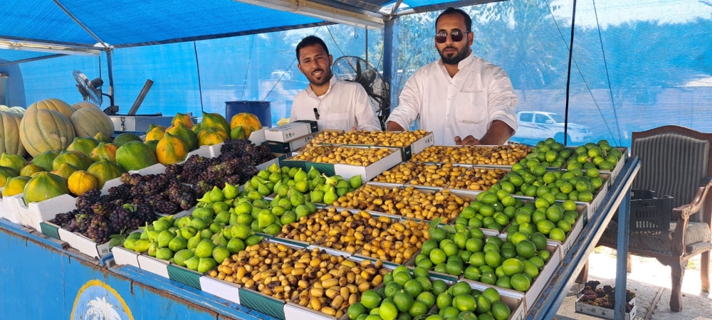 الرطب والعنب والتين.. المنتجات الزراعية تجذب زوار الأحساء