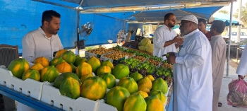 فيديو| الرطب والعنب والتين.. المنتجات الزراعية تجذب زوار الأحساء