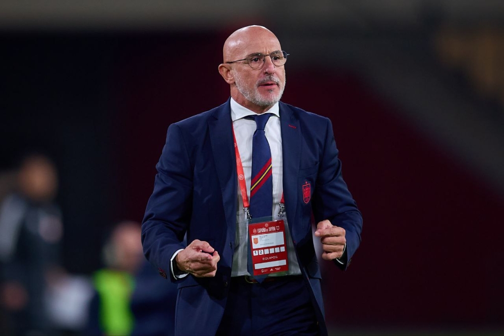 مدرب إسبانيا: أكن كل الاحترام لمنتخب جورجيا