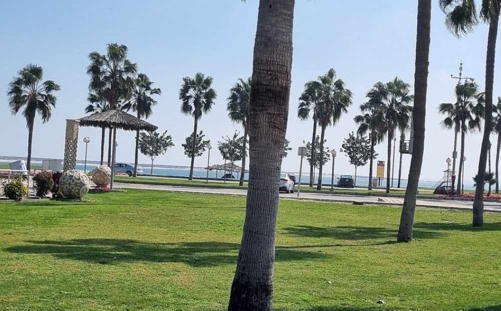 شاطئ النخيل بالجبيل.. تجربة ترفيهية متكاملة في أروع المزارات السياحية