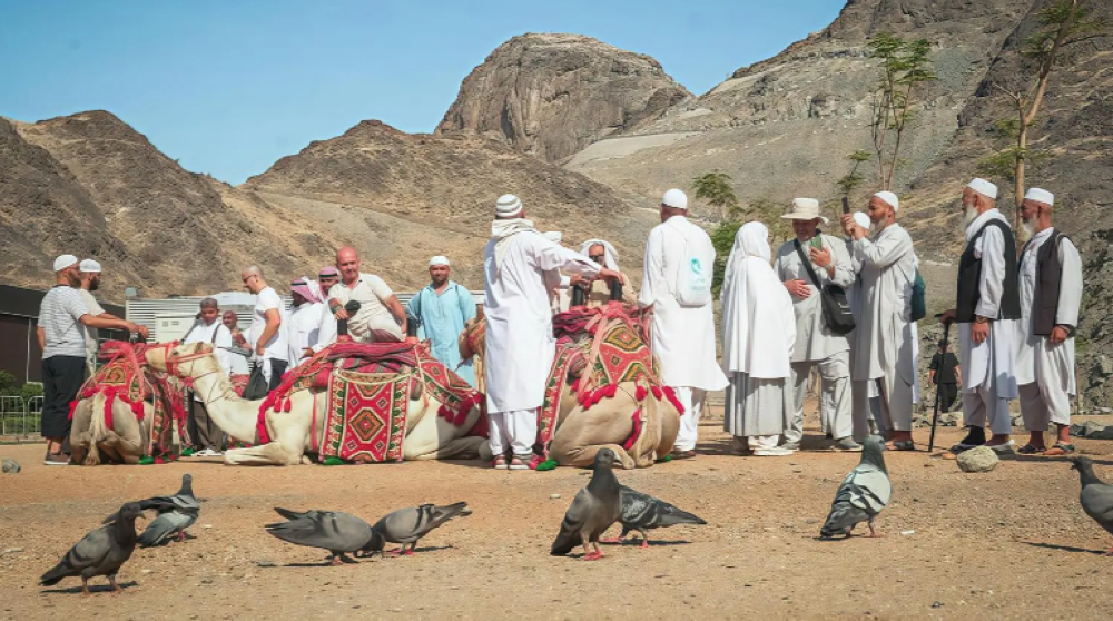 حي حراء الثقافي يثري تجربة ضيوف الرحمن بفعالية