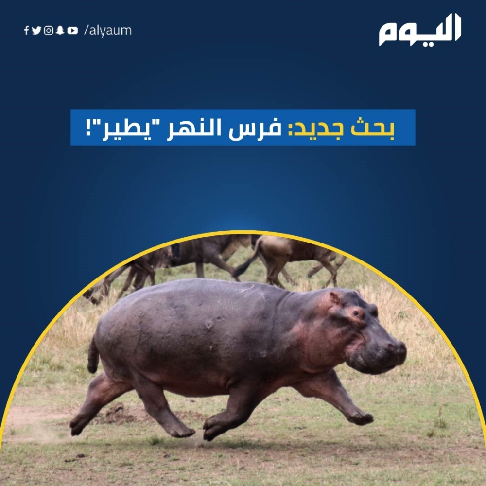 بحث جديد: فرس النهر 'يطير'!
