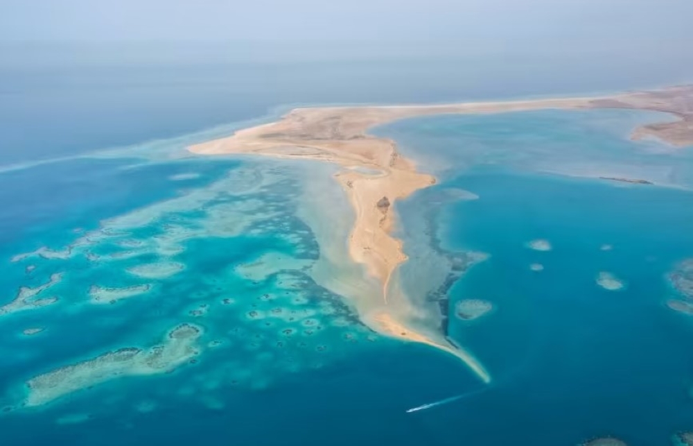 شاطئ  الرأس الأبيض.. وجهتك المثالية للاسترخاء والمتعة