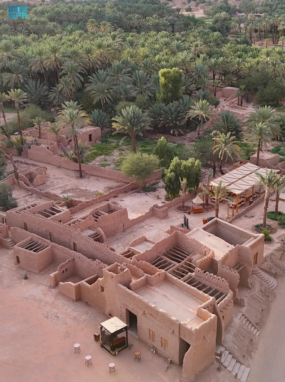 ارتفاع أعداد النخيل في محافظة العلا لأكثر من 3 ملايين نخلة - واس