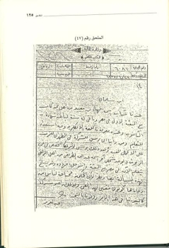 سياسة 