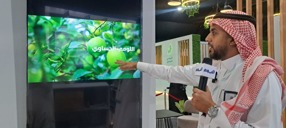 مراحل زراعة اللومي الحساوي - اليوم