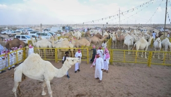مهرجان جادة الإبل - واس 