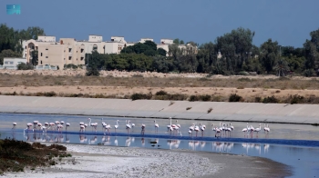 متنزه القناة المائية بالجبيل الصناعية- واس
